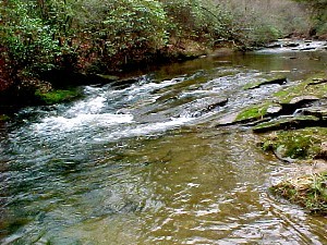 Ripple Waters